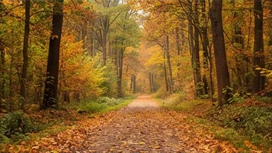 Herbstwanderung auf dem Osterbubenweg