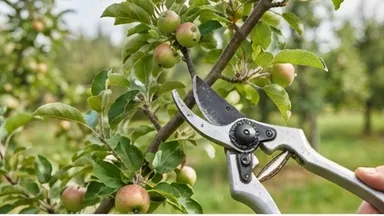 Schnittkurse für Gartenliebhaber am 31.10.2026 und 14.11.2026